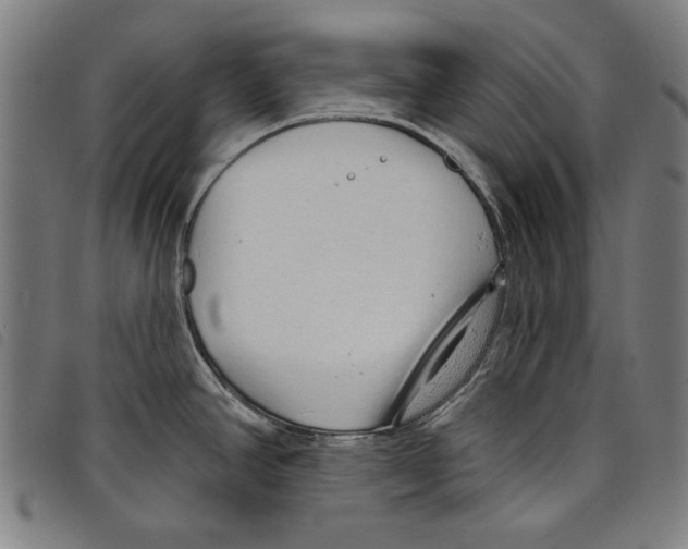 X0000097751390200804041053