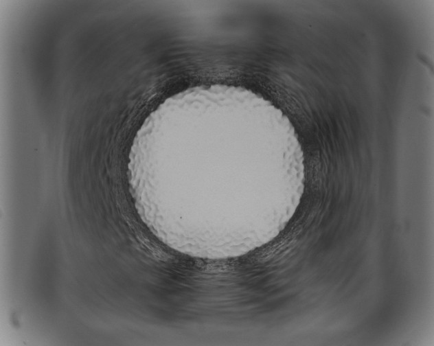 X0000097751393200804041052