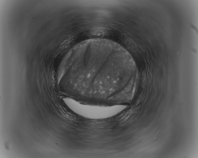 X0000097751394200804041052