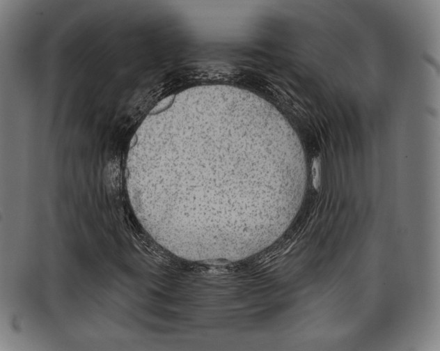 X0000097751395200804041052