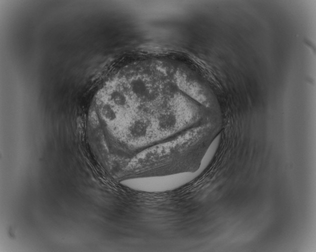 X0000097751397200804041052