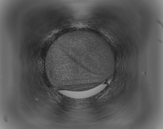 X0000097751398200804041052