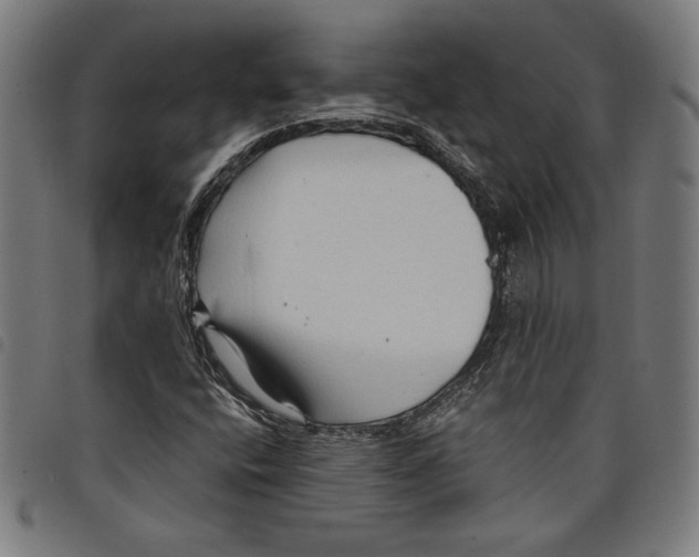 X0000097751400200804041052