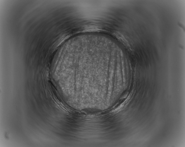 X0000097751401200804041052