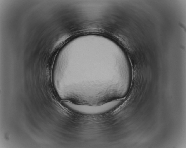 X0000097751402200804041052