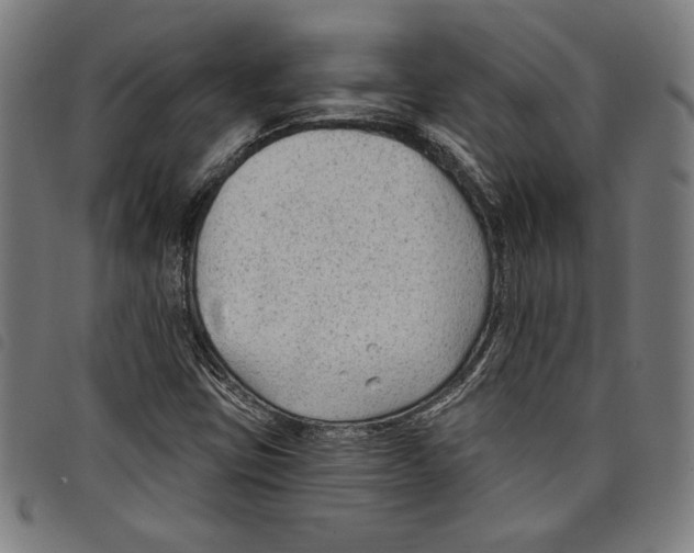 X0000097751403200804041052