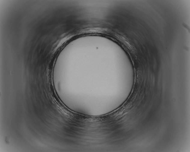 X0000097751404200804041052