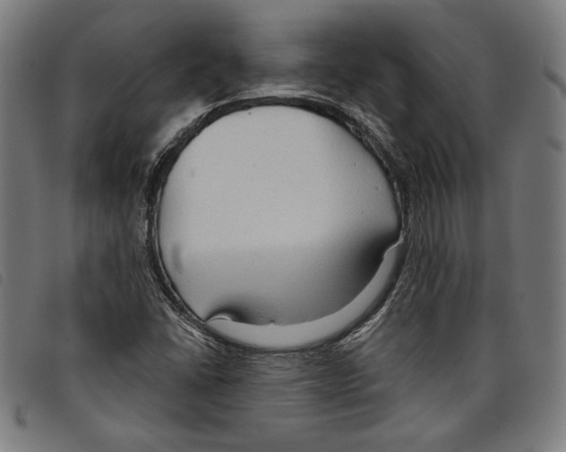 X0000097751406200804041052