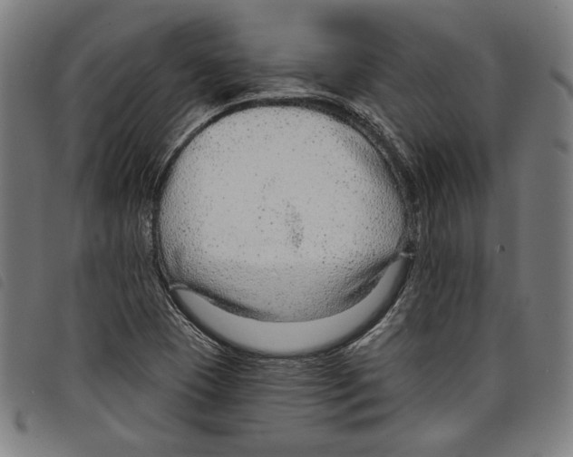 X0000097751409200804041053