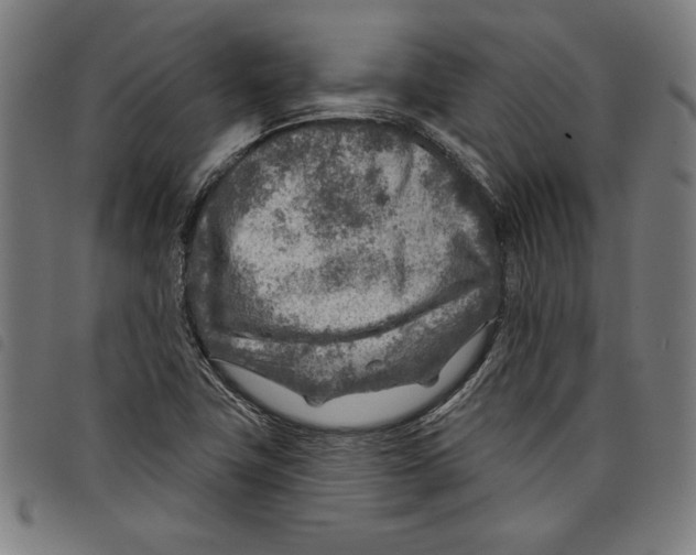 X0000097751411200804041053