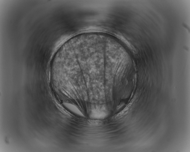 X0000097751413200804041053