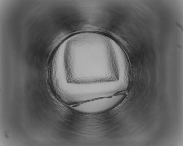 X0000097751415200804041053