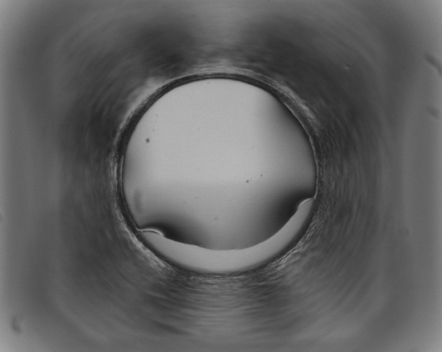 X0000097751416200804041053