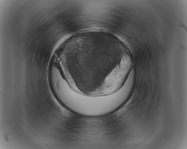 X0000097751418200804041053