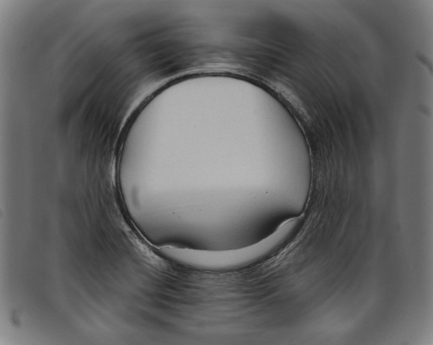 X0000097751420200804041053