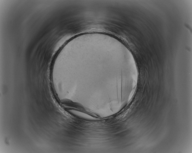 X0000097751422200804041053