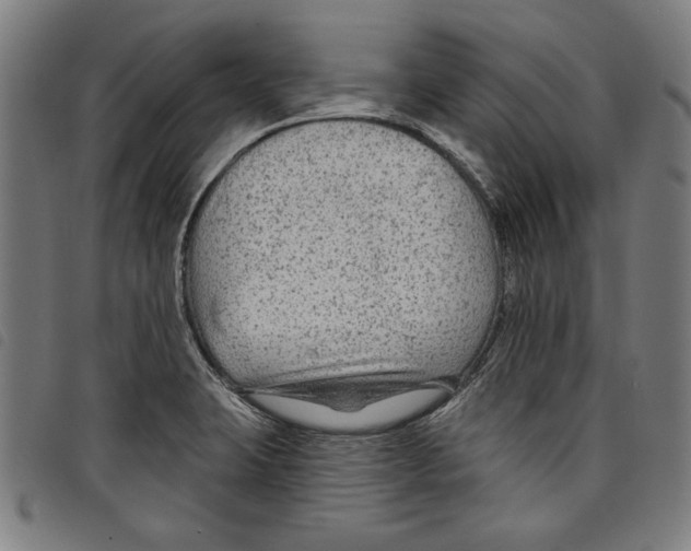 X0000097751423200804041053