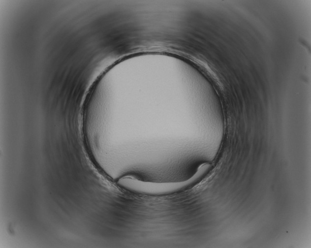 X0000097751424200804041053