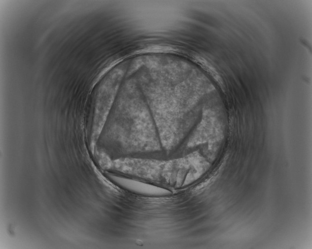 X0000097751425200804041053