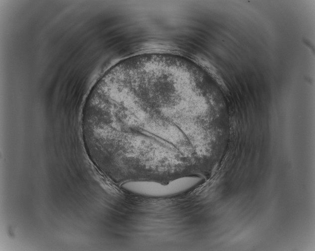 X0000097751427200804041053