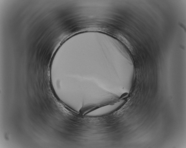 X0000097751428200804041053