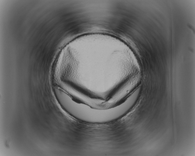 X0000097751429200804041053