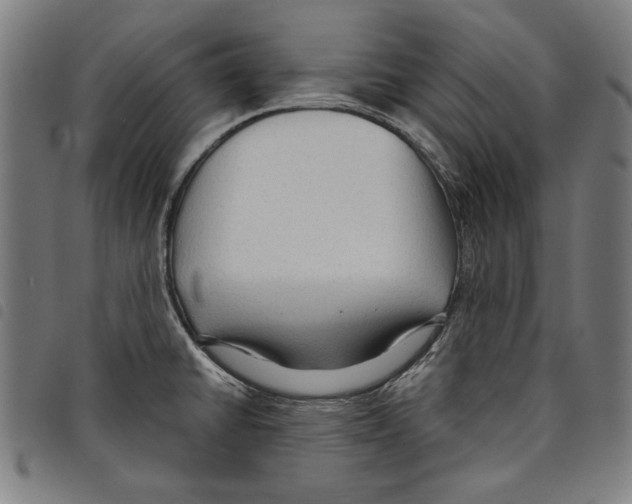 X0000097751430200804041053