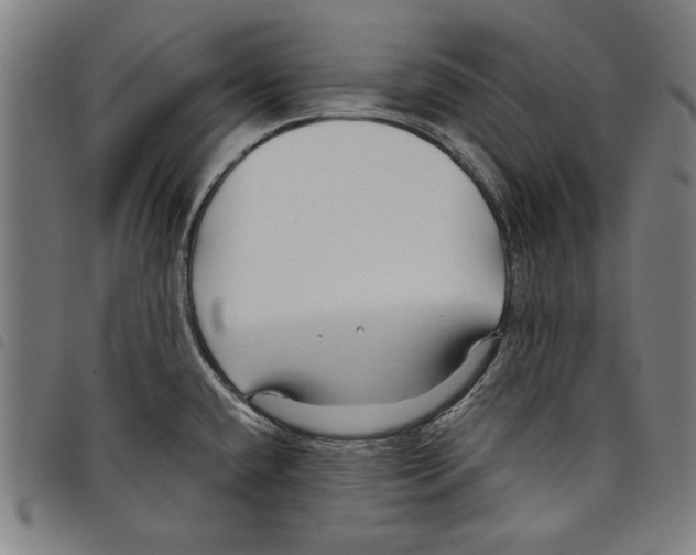 X0000097751432200804041053