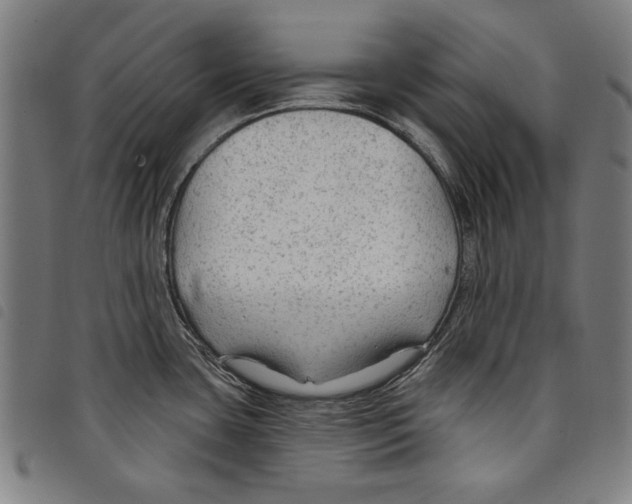 X0000097751435200804041053