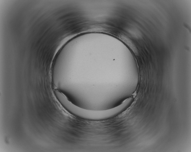 X0000097751436200804041053