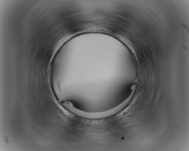 X0000097751437200804041053