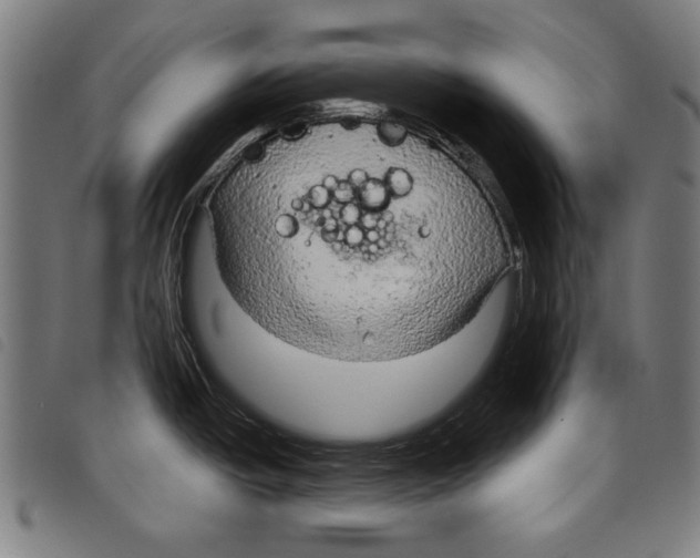 X0000097751438200804041053