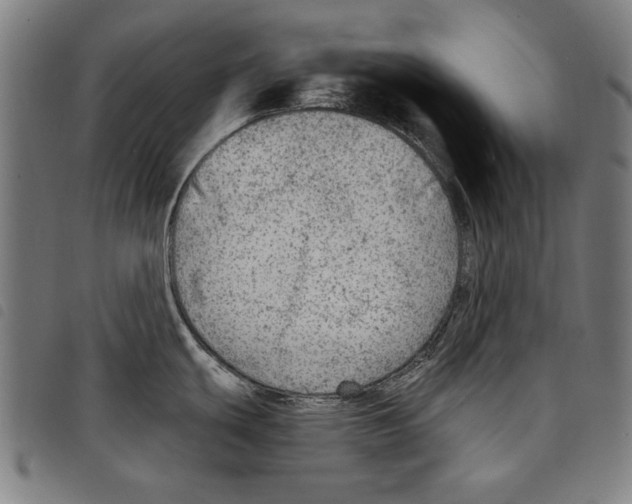 X0000097751439200804041053