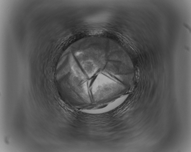 X0000097751441200804041052