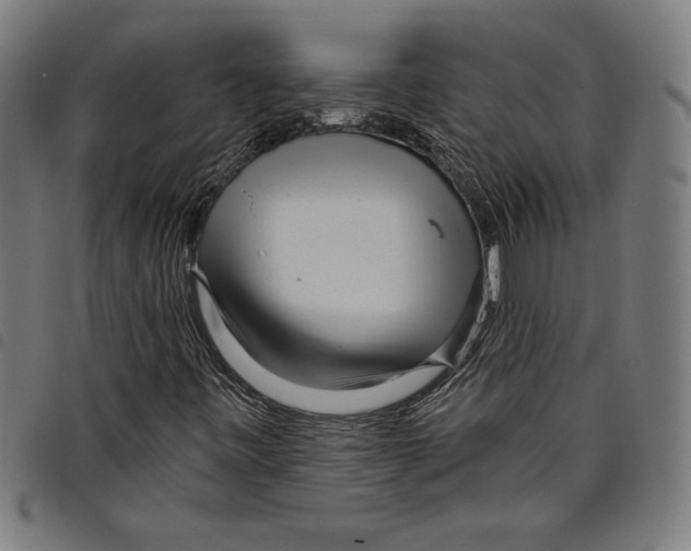 X0000097751443200804041052