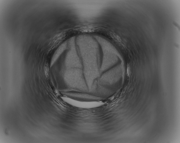 X0000097751444200804041052