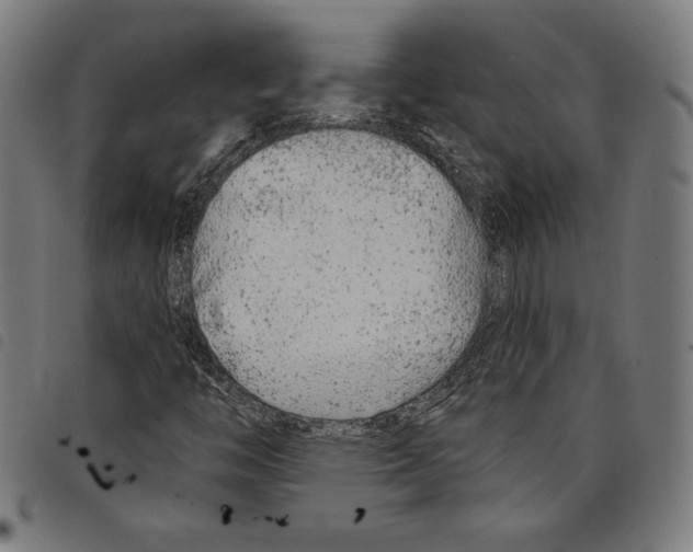 X0000097751446200804041052