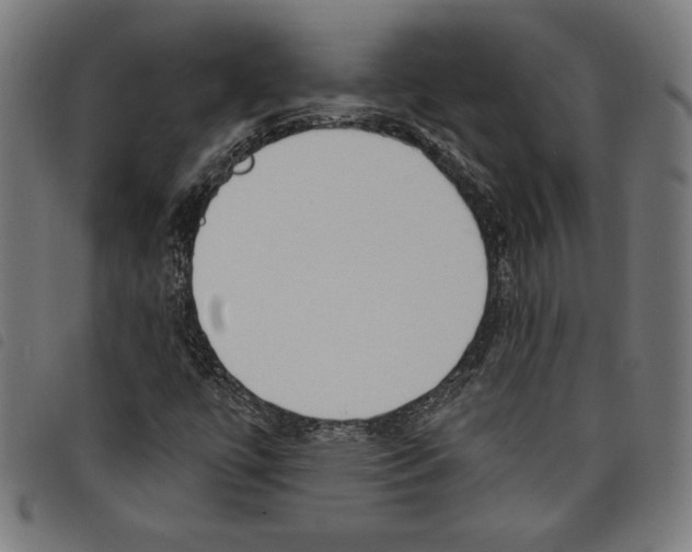 X0000097751447200804041052