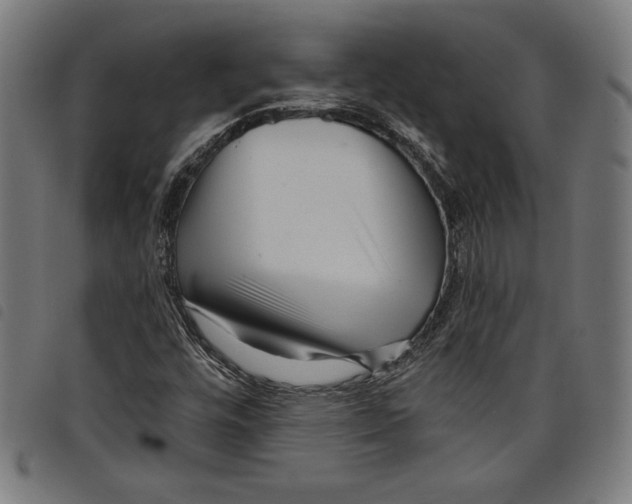 X0000097751448200804041052