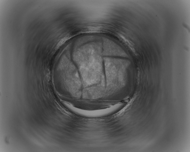 X0000097751449200804041052