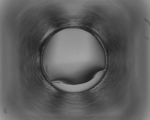 X0000097751450200804041052