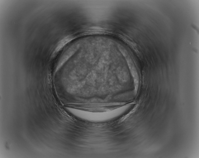 X0000097751453200804041052