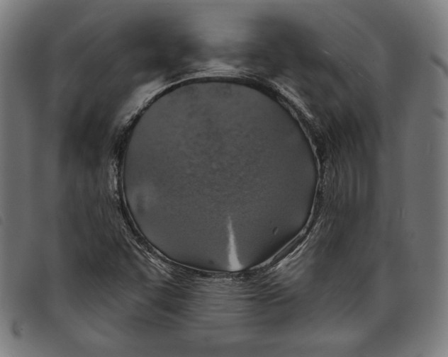 X0000097751455200804041052