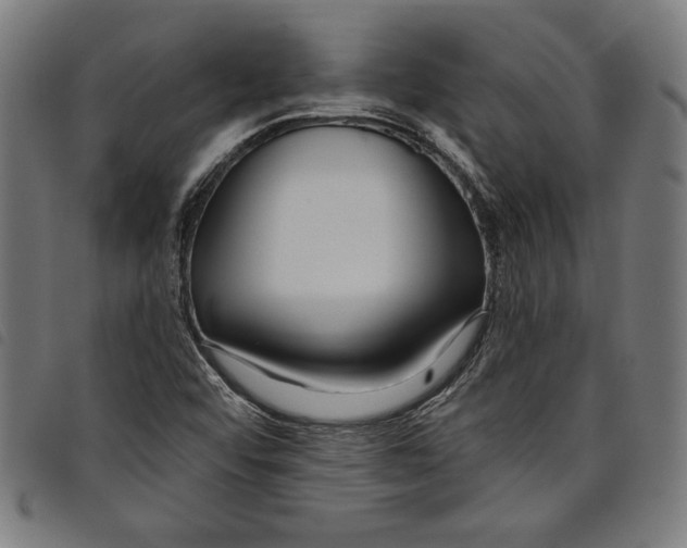 X0000097751456200804041052