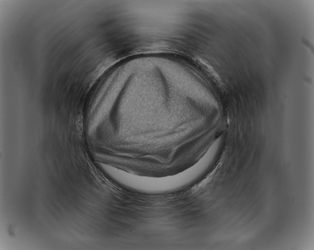 X0000097751457200804041052