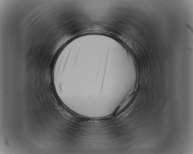 X0000097751458200804041052