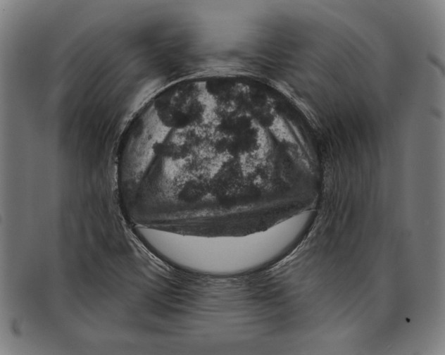 X0000097751459200804041052