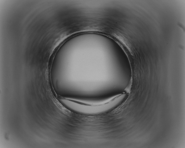 X0000097751460200804041052