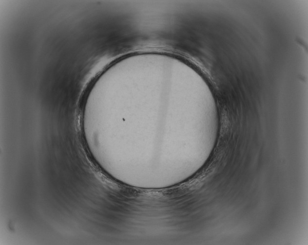 X0000097751462200804041052