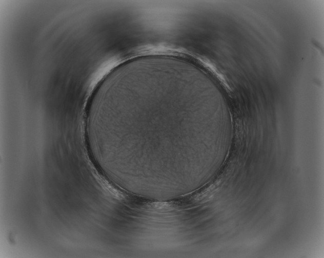 X0000097751463200804041052